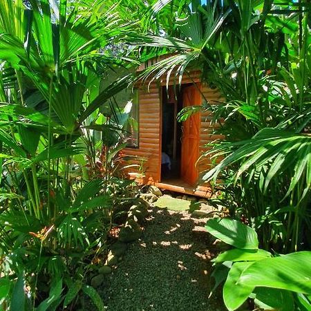 Arenal Rustic Lodge Alajuela Buitenkant foto