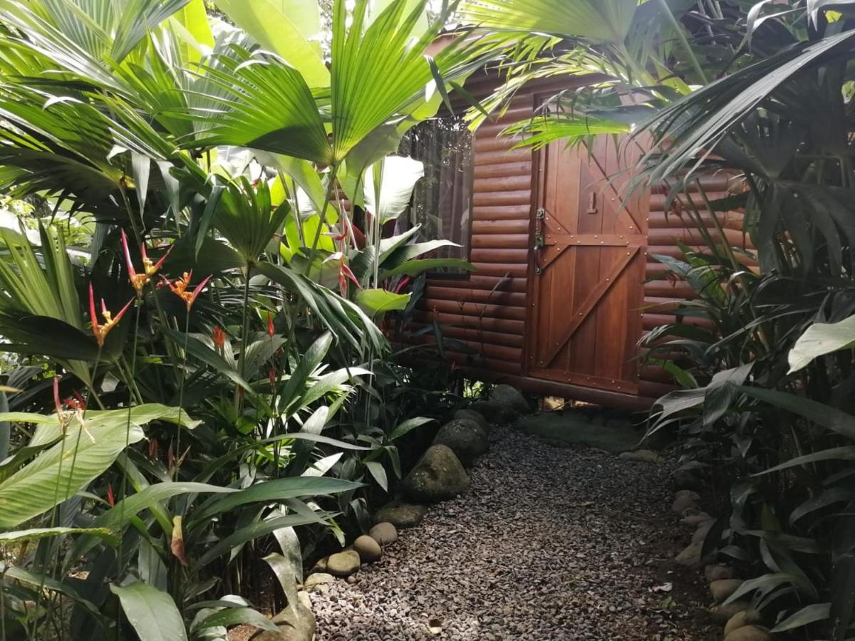 Arenal Rustic Lodge Alajuela Buitenkant foto