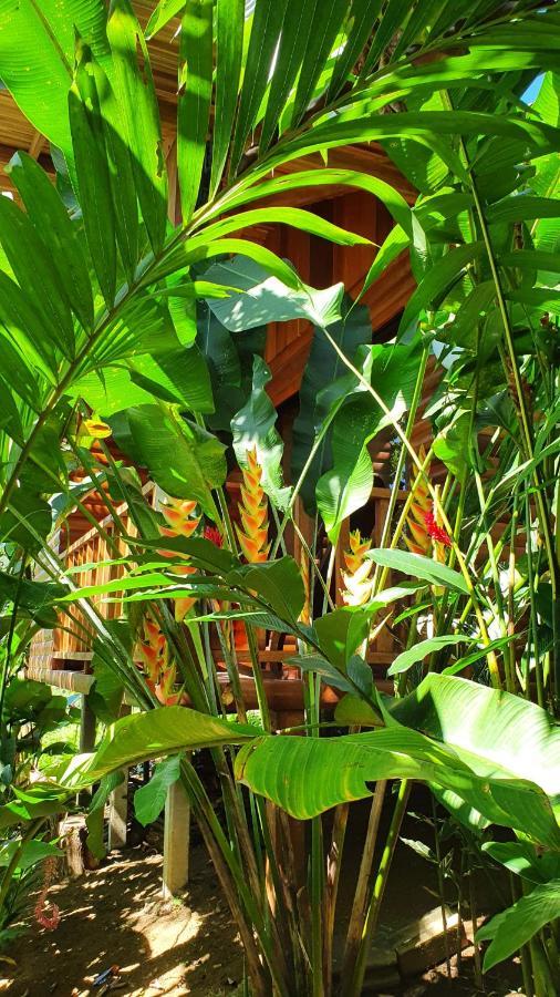 Arenal Rustic Lodge Alajuela Buitenkant foto
