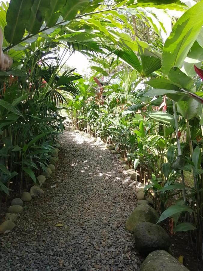 Arenal Rustic Lodge Alajuela Buitenkant foto